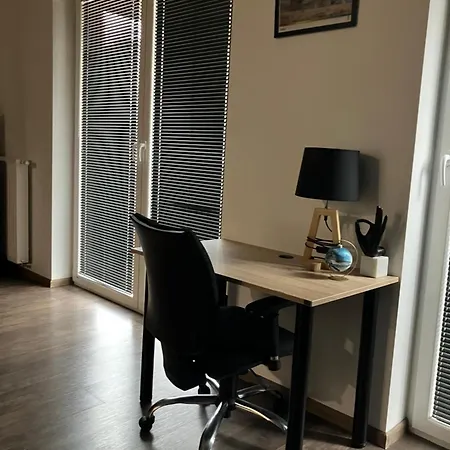 Spacious Studio Zablocie With Balcony Krakow-2